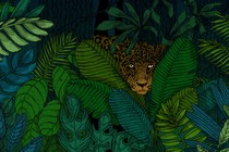 An illustration of a jaguar peeking through plants in a jungle