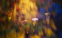 A moody, impressionistic shot of 4 people walking in the rain carrying umbrellas