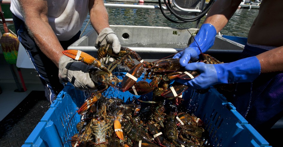 Maine Uses Lobsters for Successful Personalized Learning - The Atlantic
