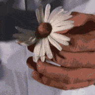 What Second Chance Couples Know About Love The Atlantic