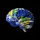 Earth, shaped as a brain