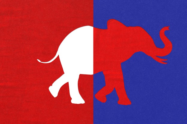 An illustration of an elephant half in red and half in blue