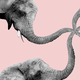 An illustration of elephants