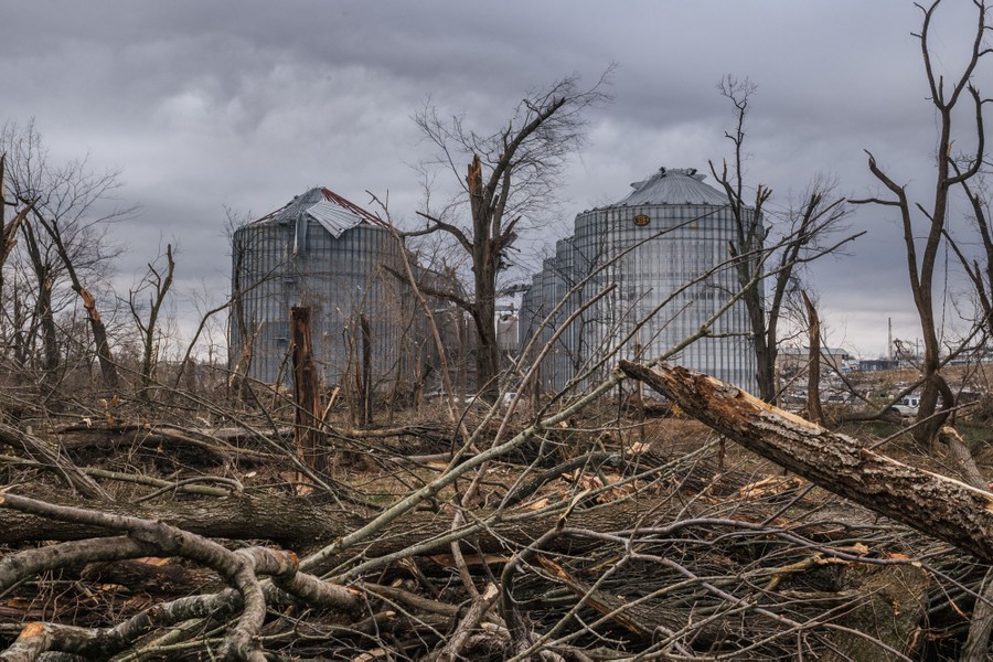 Debris from downed trees sits piled up near damaged grain bins.