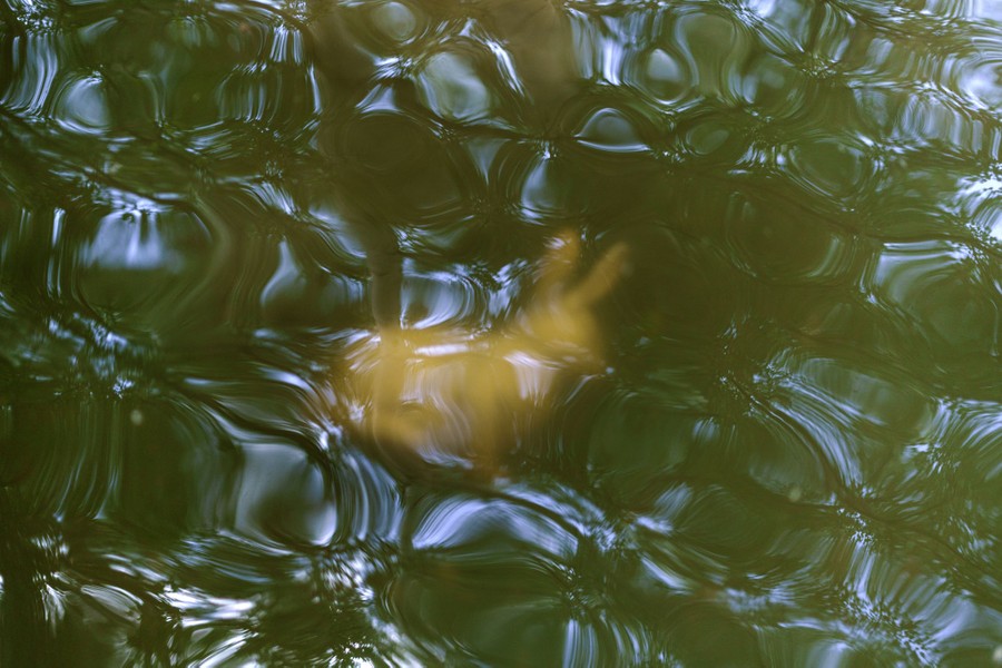 A statue of a rabbit under floodwater