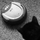 A photo of a cat watching a Roomba on a carpet