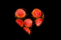 A cut out of a heart, with a pattern of the coronavirus visible behind it