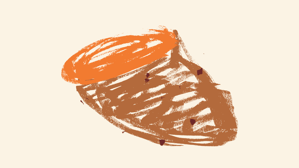 a sketched drawing of a cut-in-half sweet potato with orange flesh