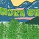 An illustrated image of a field of marijuana, against a backdrop of mountains. A man with a light brown beard is in the left corner. The words "Tundra Green" are suspended in the middle.