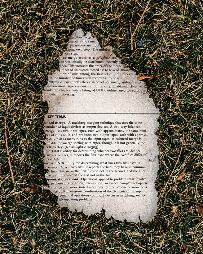 photo of a scorched page on charred grass