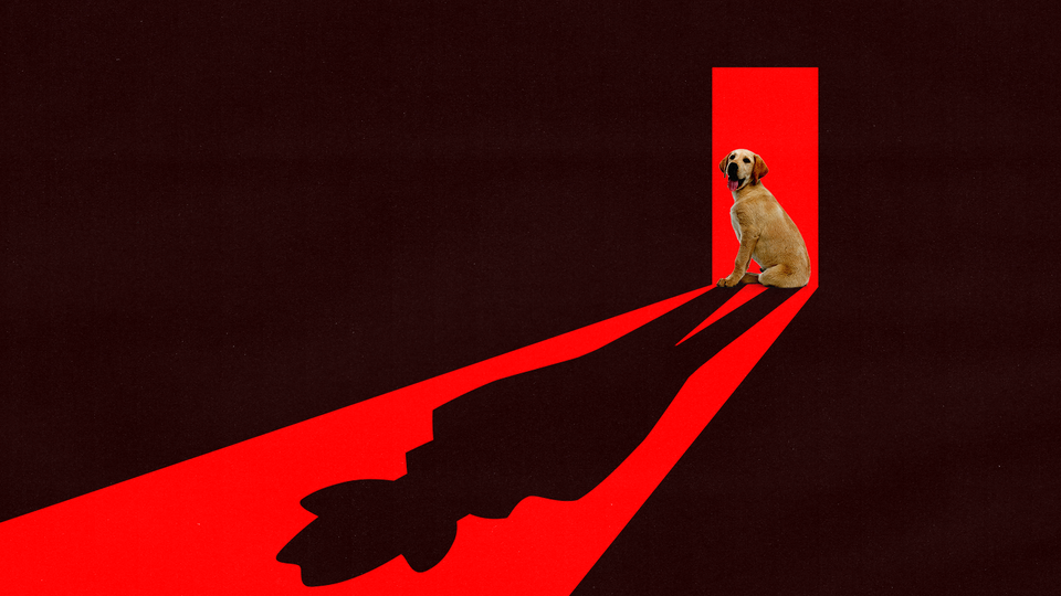 An illustration of a dog in a doorway casting a shadow