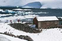 Penguins around the old British base of Port Lockroy in Antarctica