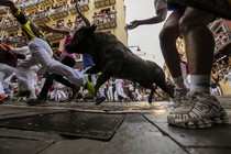 People run through a street, being chased by several bulls, as many onlookers watch.