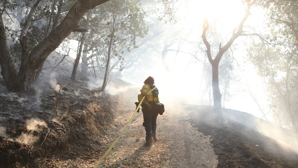 A firefighter stands in a smoky area of woods.