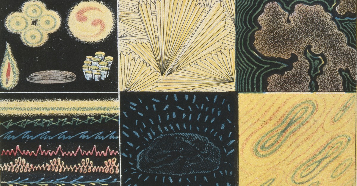 Pollan Argues AI Cannot Reproduce Human Consciousness