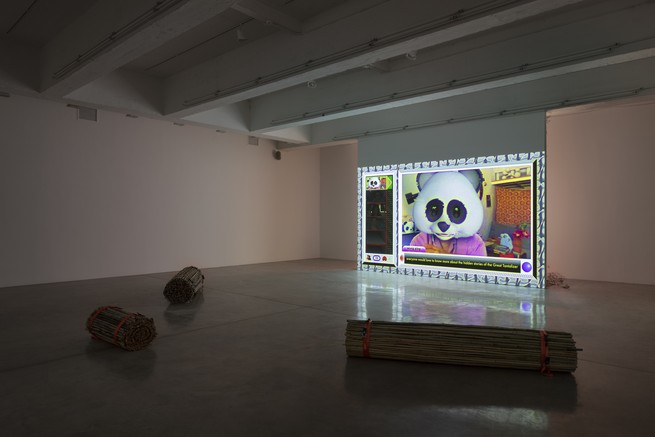 A photo from the Wong Ping exhibition at the Tanya Bonakdar Gallery in New York City
