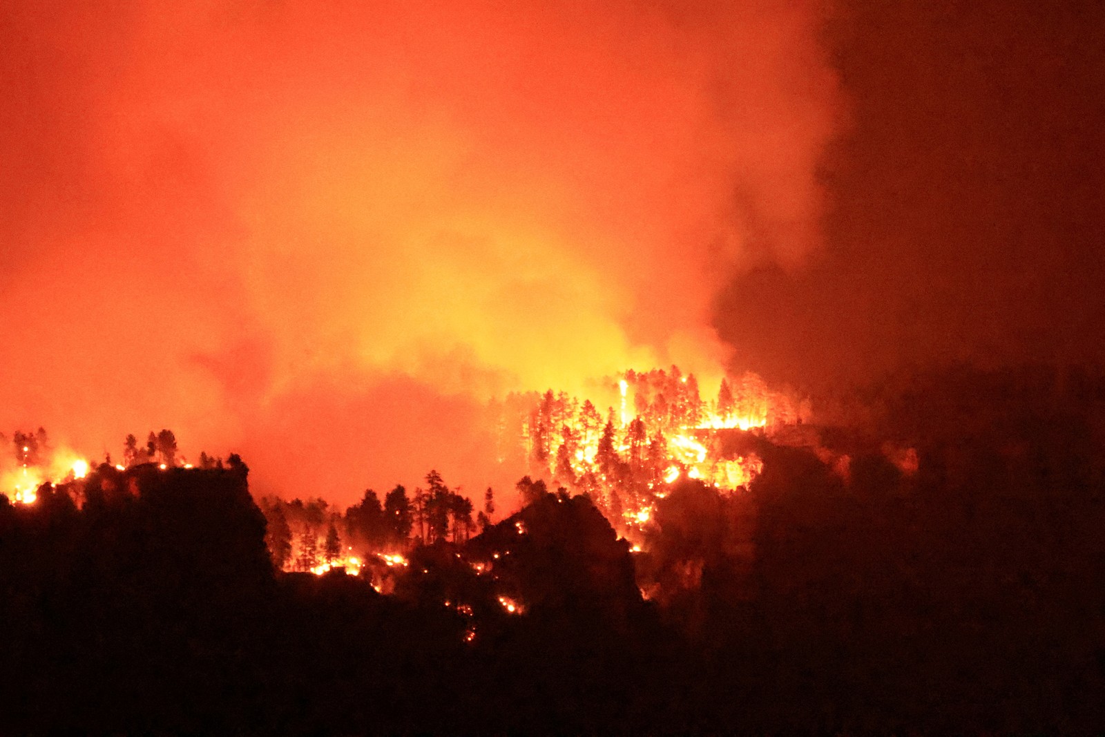 A wildfire burns through trees on a hillside, seen at night.