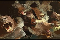 An illustrated pile of stuffed bear heads 