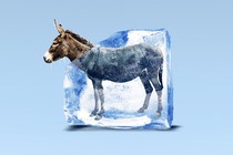 An illustration of a donkey in a thawing block of ice