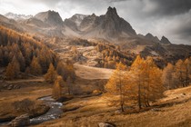 A broad view of an alpine valley and stony mountains with trees and grass a golden color.