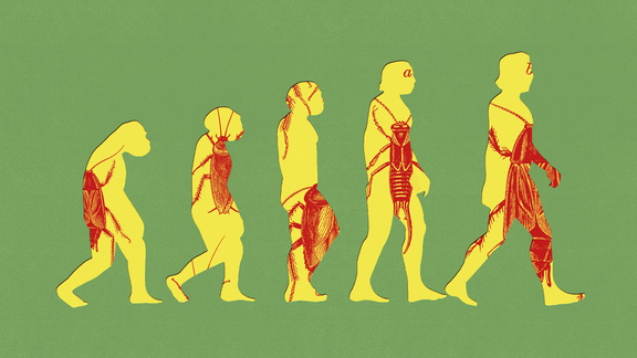 An illustration of the classic ape-to-human evolutionary transition, with cockroaches inlaid into the figures; the evolving figures are a muted yellow, the roaches are a deep red, and they're surrounded by a sage green