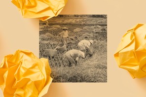 Farmers in Taiwan work the fields.