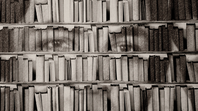 illustration of bookshelves bearing the vague shadow of a face