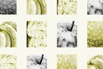 Cropped images of fruit and bread in a grid