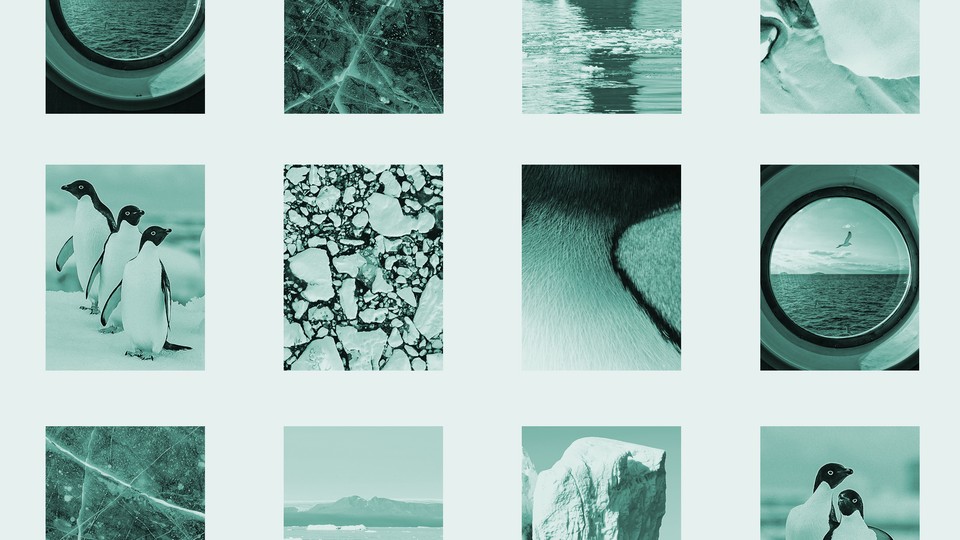 A grid of blue washed images associated with Antarctica - penguins, ice breaking up, a porthole