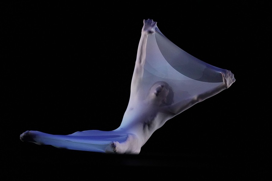 A dancer performs onstage, encased in stretchy, sheer material.