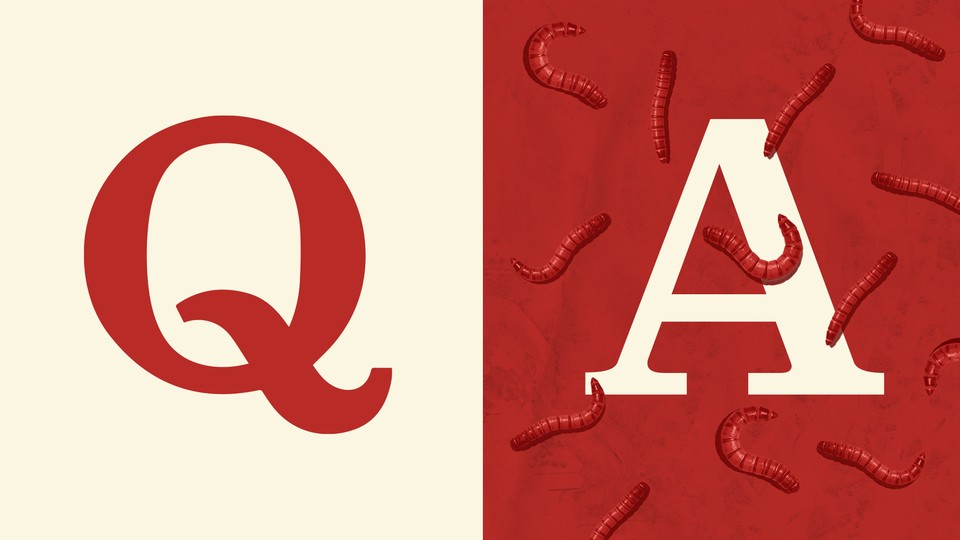 Illustration of a big 'Q' and a big 'A' with worms in the background