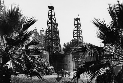 Horses stand beneath oil derricks and palm trees in this black-and-white photo of Los Angeles, California.