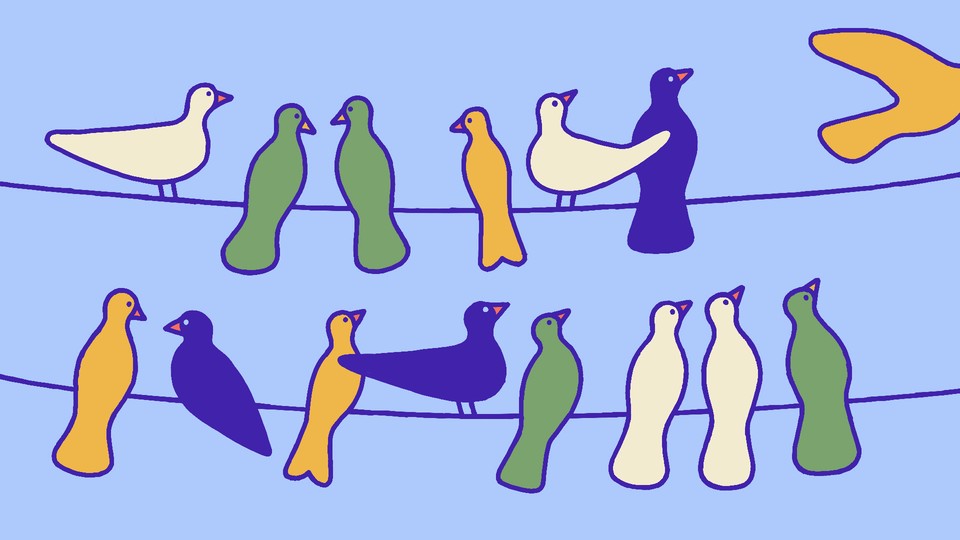 A group of birds perched on power lines, with one bird flying away, halfway out of the frame