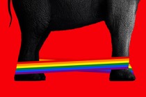 An elephant's feet tied with a rainbow cord