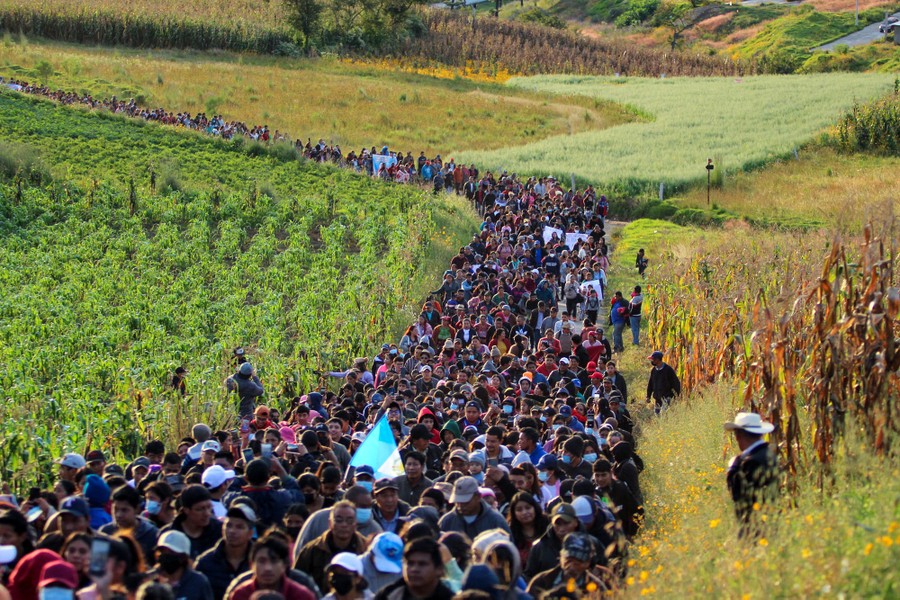 Hundreds of people march in a protest along a road through farm fields.