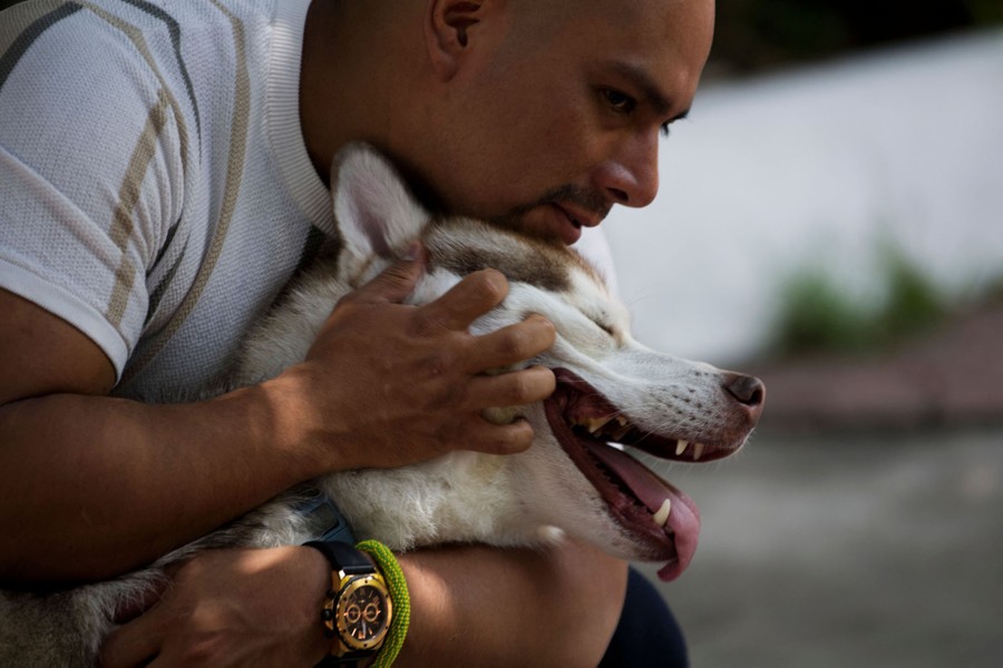 A person leans down and hugs a big dog.