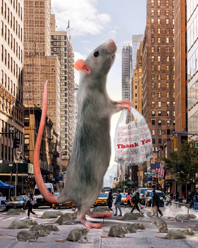 Illustration showing a rat the size of five-story building in New York City standing on its hind legs, carrying a plastic bag