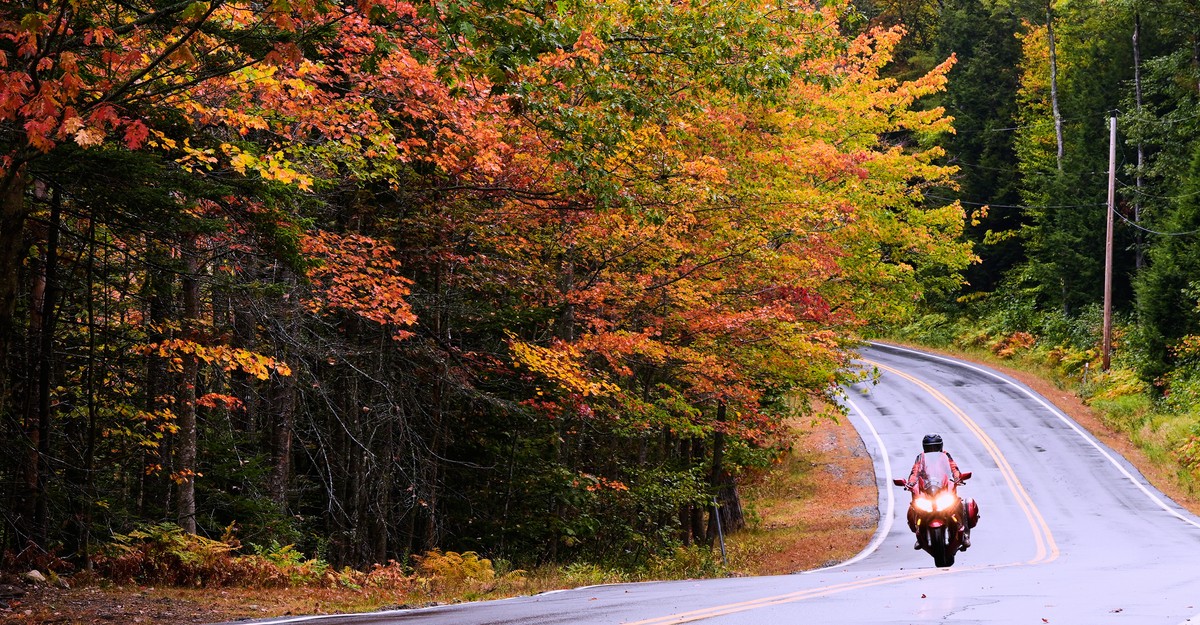 cdn.theatlantic.com image