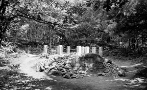black and white photo of site of Thoreau's cabin
