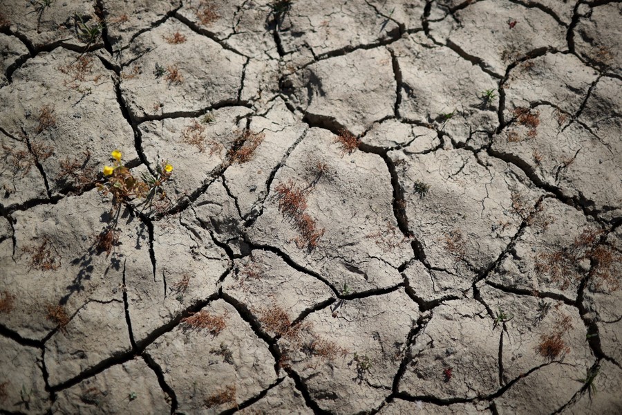 An image of dry, cracked earth.