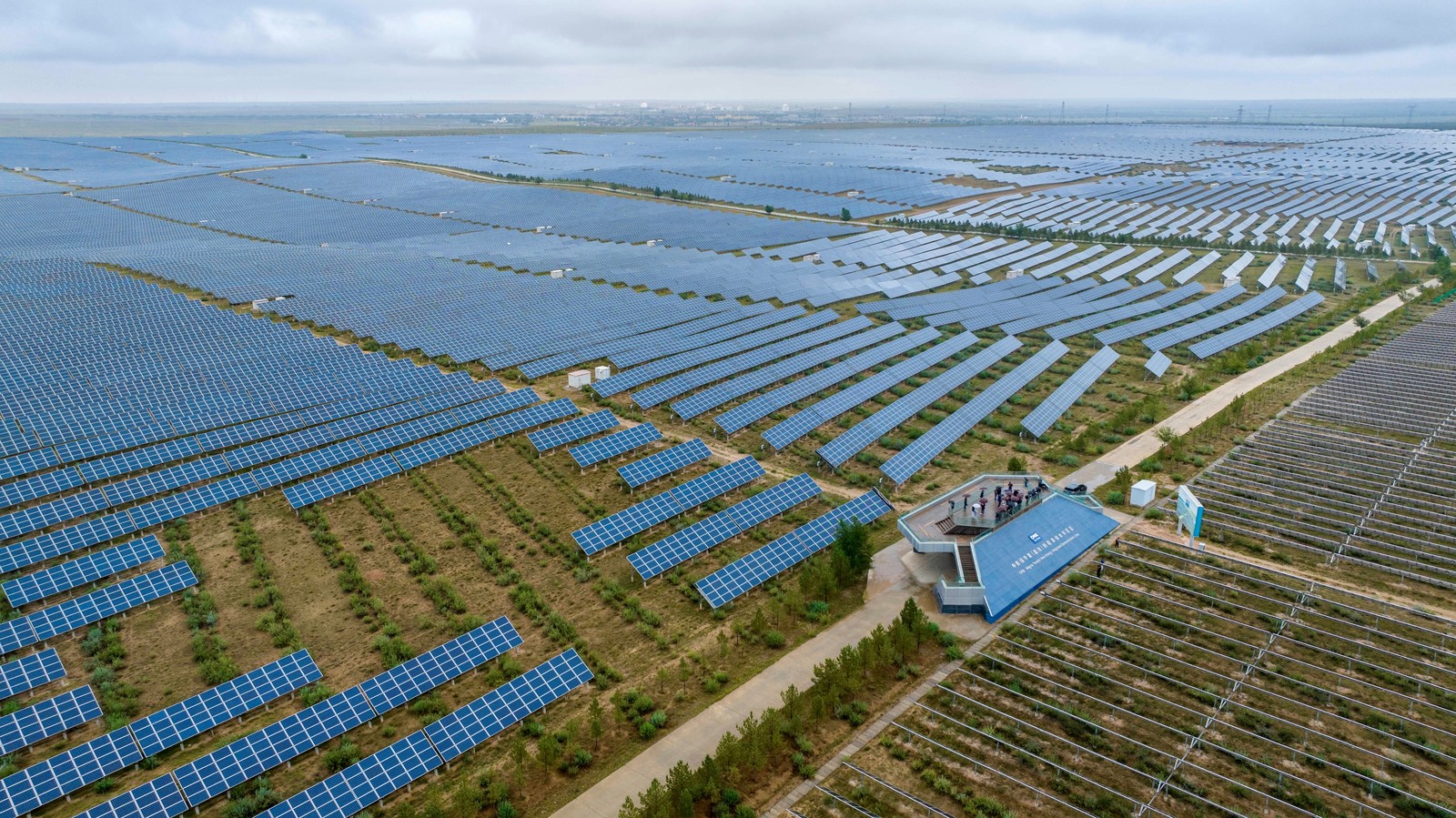 An aerial view of many solar panels set above lines of planted shrubs