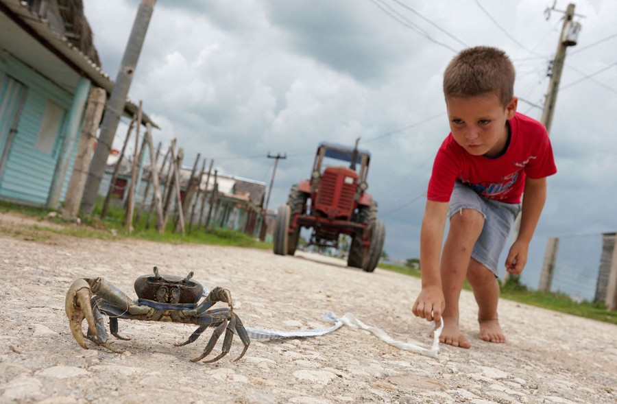 A young boy plays with a crab on a gravel road.