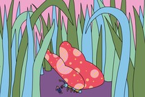 Illustration of a butterfly with red-and-pink wings standing over a miniature human lying down on the purple ground