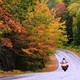 A motorcyclist rides on a two-lane highway past trees with fall colors.