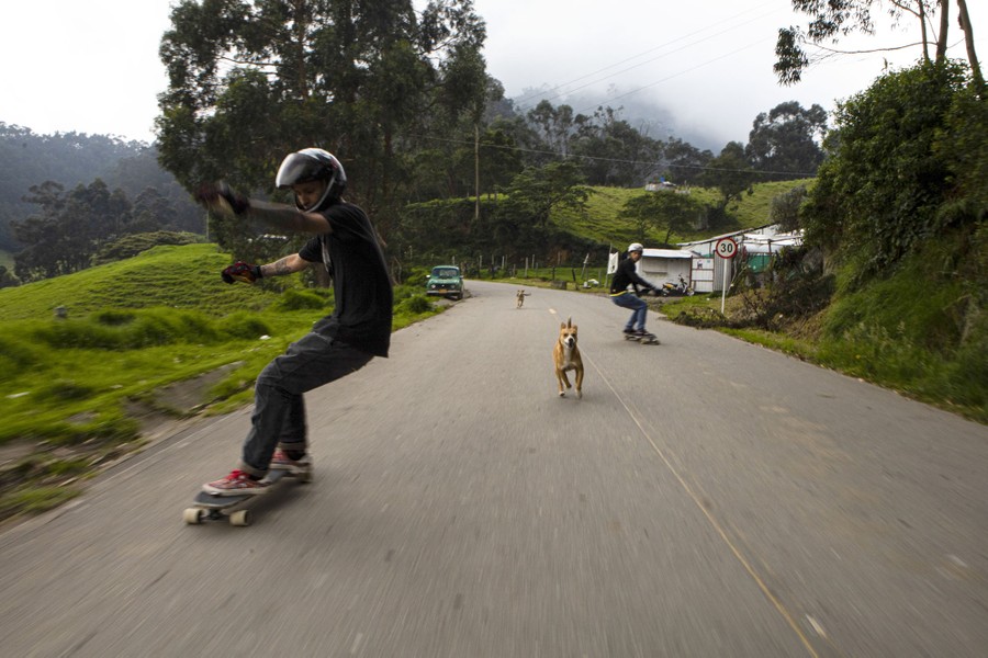 Two skateboarders and a couple of dogs speed down a two-lane mountain road.