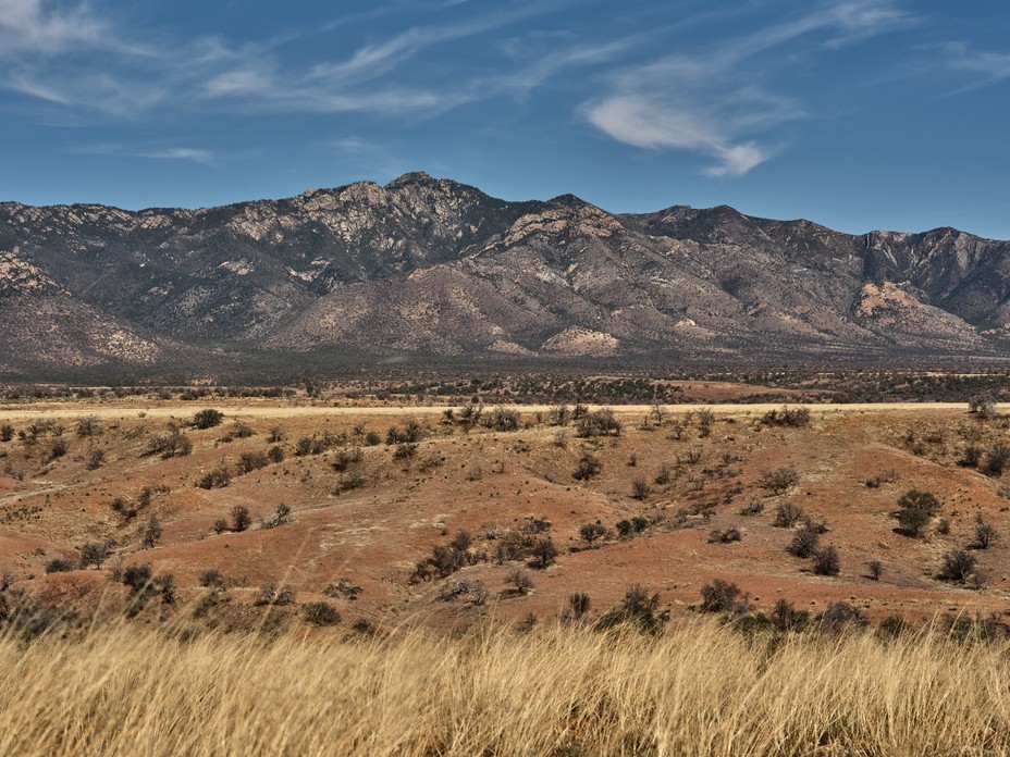 The grasslands near the U.S.-Mexico border in the San Rafael Valley.