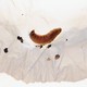 A worm rests on a piece of plastic with small holes in it