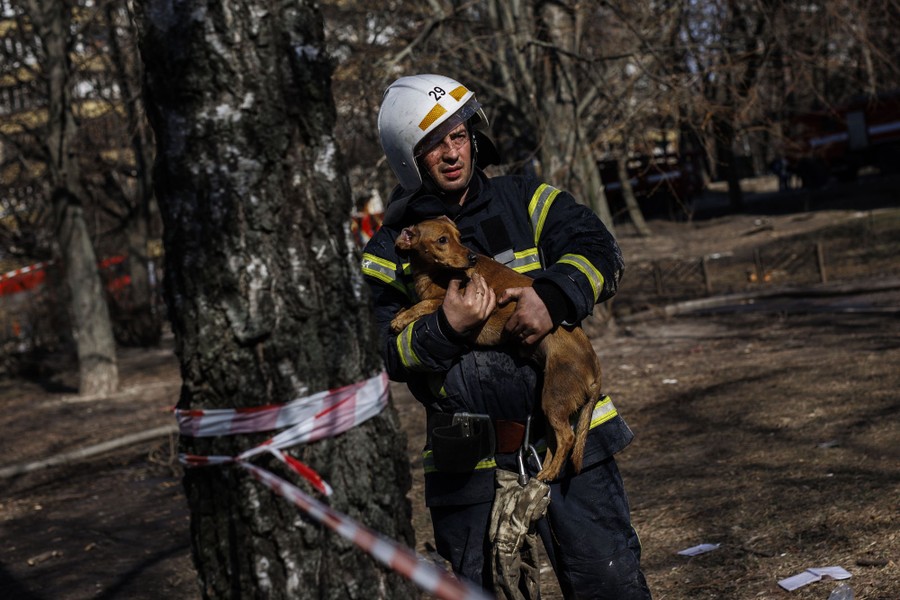 A firefighter holds a dog outside of a burning building (not pictured).