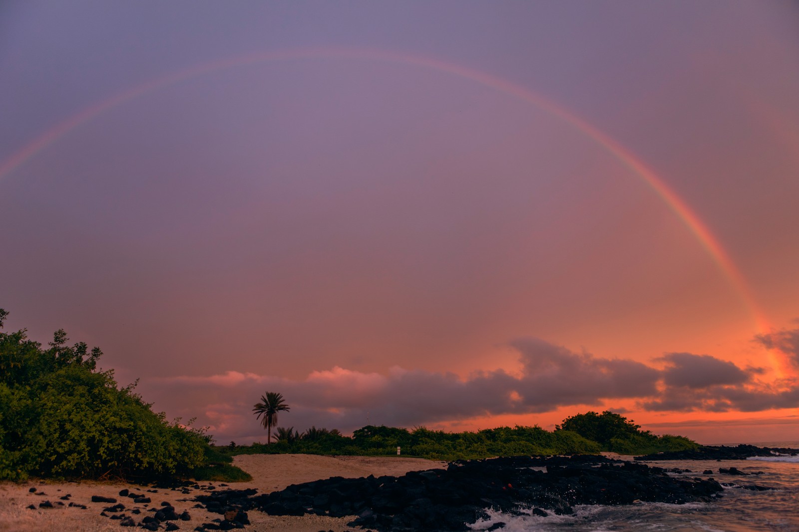 photo of purple and pink sunset at shoreline
