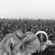 A black-and-white photo of five girls in a cornfield.